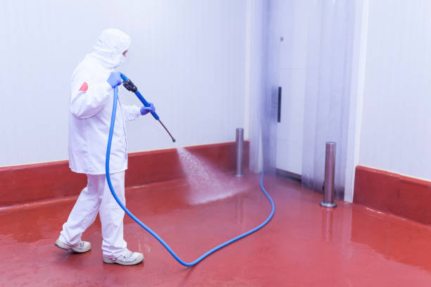 Best Driveway Pressure Washing  in South Toms River, NJ