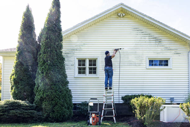 Best Building Exterior Washing  in South Toms River, NJ